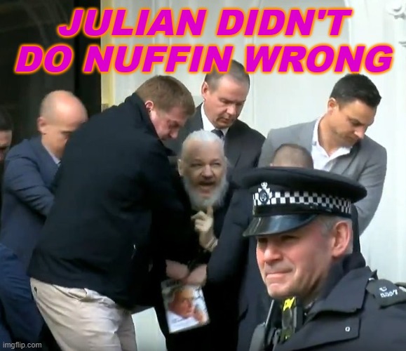 Julian didn't do nuffin wrong | JULIAN DIDN'T DO NUFFIN WRONG | image tagged in awkward assange | made w/ Imgflip meme maker