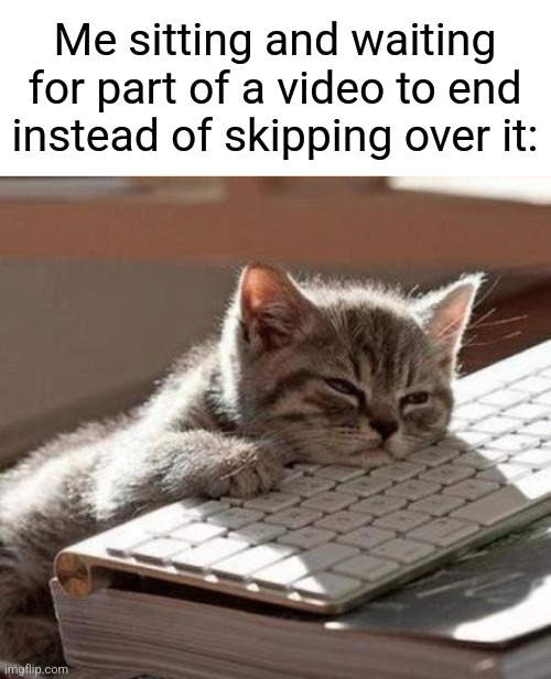 Just skip it..... | Me sitting and waiting for part of a video to end instead of skipping over it: | image tagged in tired cat,relatable,funny,funny memes,memes,cats | made w/ Imgflip meme maker
