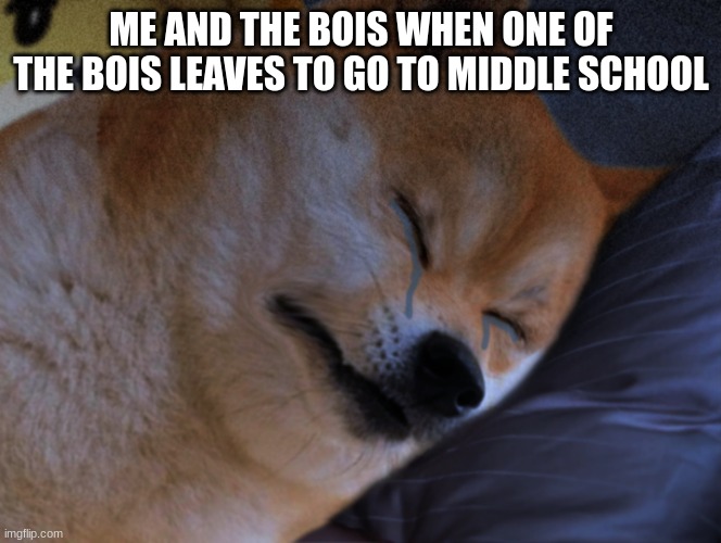 no please dont go | ME AND THE BOIS WHEN ONE OF THE BOIS LEAVES TO GO TO MIDDLE SCHOOL | image tagged in doge crying | made w/ Imgflip meme maker