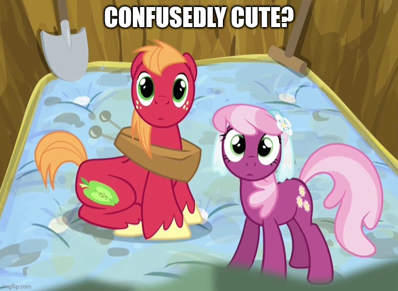 CONFUSEDLY CUTE? | image tagged in big macintosh,cheerilee,cute,my little pony | made w/ Imgflip meme maker