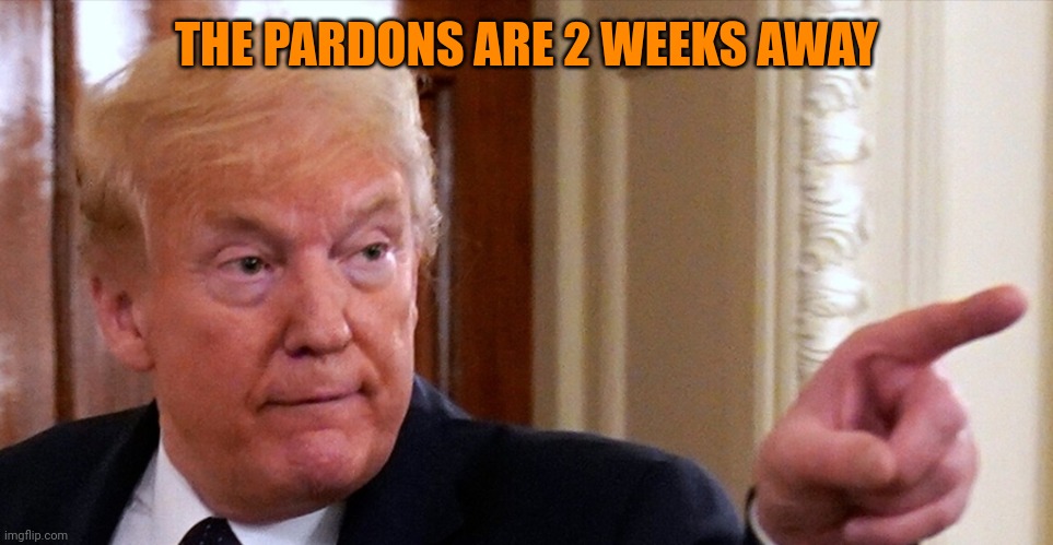 Pardons r us | THE PARDONS ARE 2 WEEKS AWAY | image tagged in trump pointing | made w/ Imgflip meme maker