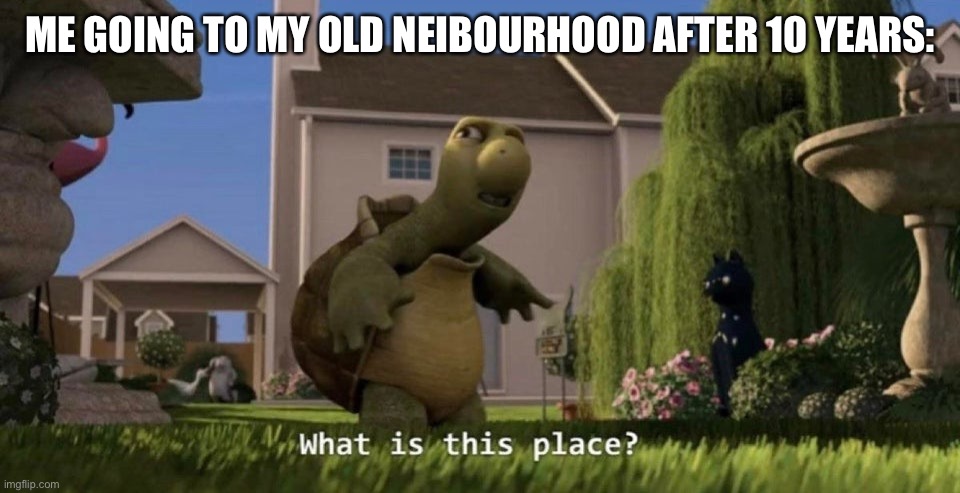 This house is like, different color | ME GOING TO MY OLD NEIBOURHOOD AFTER 10 YEARS: | image tagged in what is this place | made w/ Imgflip meme maker