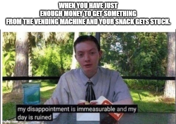 *insert a good title here* | WHEN YOU HAVE JUST ENOUGH MONEY TO GET SOMETHING FROM THE VENDING MACHINE AND YOUR SNACK GETS STUCK. | image tagged in my dissapointment is immeasurable and my day is ruined | made w/ Imgflip meme maker