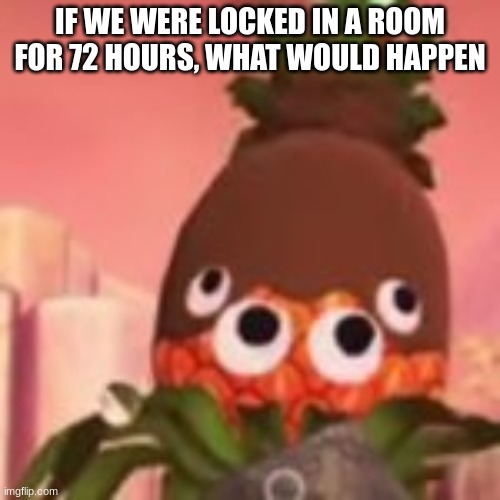 doodoo fart | IF WE WERE LOCKED IN A ROOM FOR 72 HOURS, WHAT WOULD HAPPEN | image tagged in doodoo fart | made w/ Imgflip meme maker