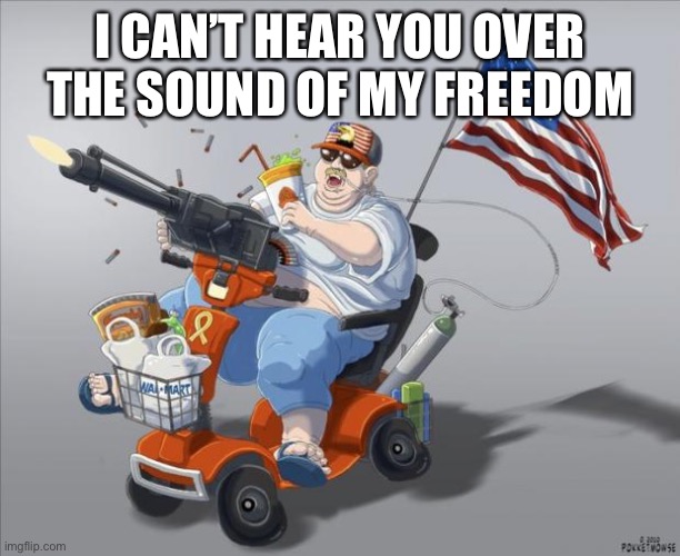 Murica | I CAN’T HEAR YOU OVER THE SOUND OF MY FREEDOM | image tagged in murica | made w/ Imgflip meme maker