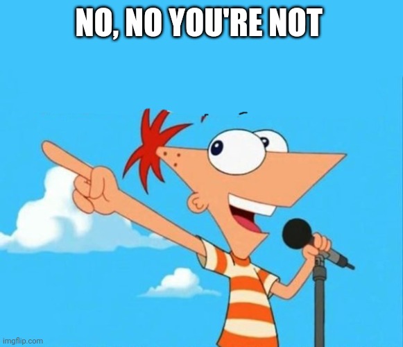 Phineas and ferb | NO, NO YOU'RE NOT | image tagged in phineas and ferb | made w/ Imgflip meme maker