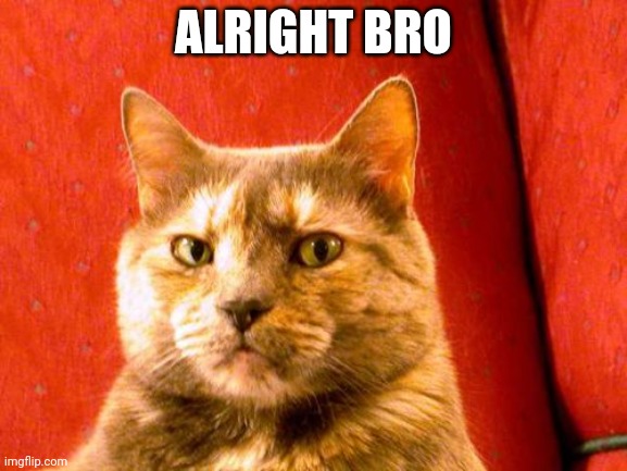 Suspicious Cat Meme | ALRIGHT BRO | image tagged in memes,suspicious cat | made w/ Imgflip meme maker