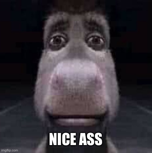 Donkey staring | NICE ASS | image tagged in donkey staring | made w/ Imgflip meme maker
