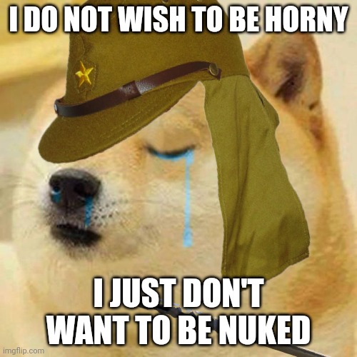 I DO NOT WISH TO BE HORNY; I JUST DON'T WANT TO BE NUKED | made w/ Imgflip meme maker
