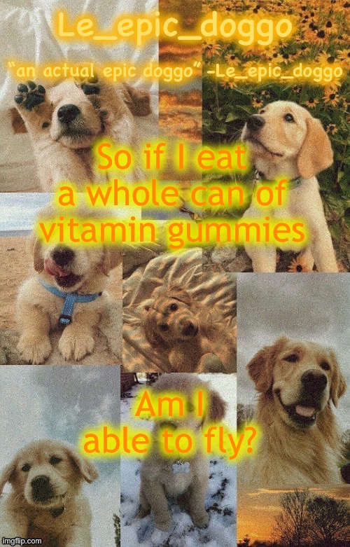 Doggo temp by doggo. Wait what that’s confusing | So if I eat a whole can of vitamin gummies; Am I able to fly? | image tagged in doggo temp by doggo wait what that s confusing | made w/ Imgflip meme maker