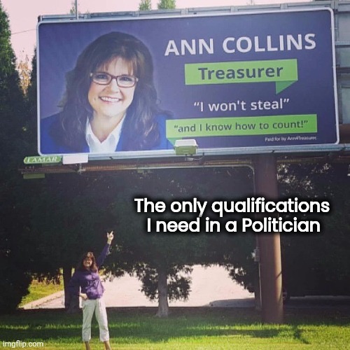 It's simple , but it says it |  The only qualifications  
I need in a Politician | image tagged in politicians,honest,well yes but actually no,thieves,liars | made w/ Imgflip meme maker