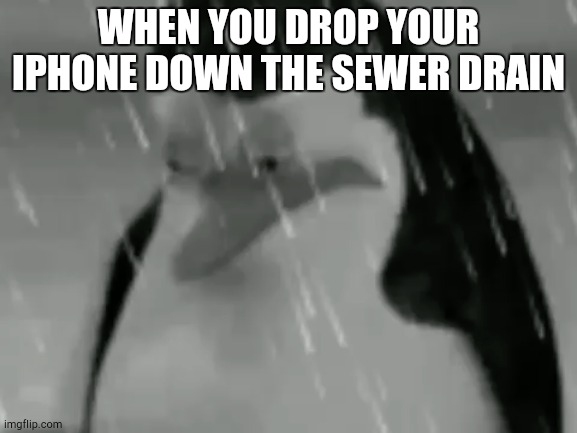 I lost my iPhone se like this a yr ago | WHEN YOU DROP YOUR IPHONE DOWN THE SEWER DRAIN | image tagged in sadge,iphone,funny,memes,sad | made w/ Imgflip meme maker