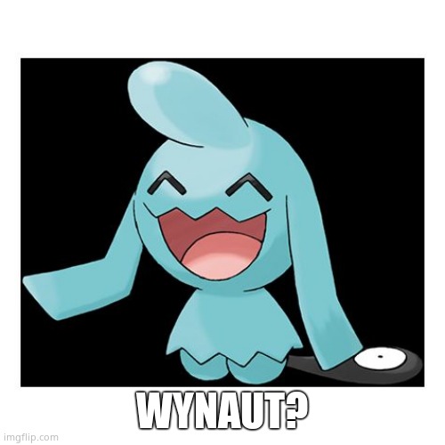 Wynaut | WYNAUT? | image tagged in wynaut | made w/ Imgflip meme maker