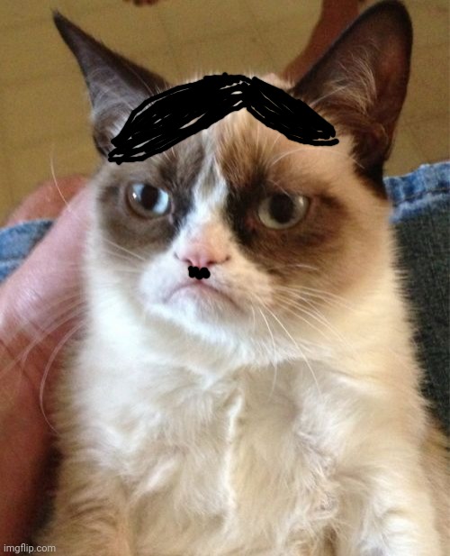 Grumpy Cat Meme | image tagged in memes,grumpy cat | made w/ Imgflip meme maker