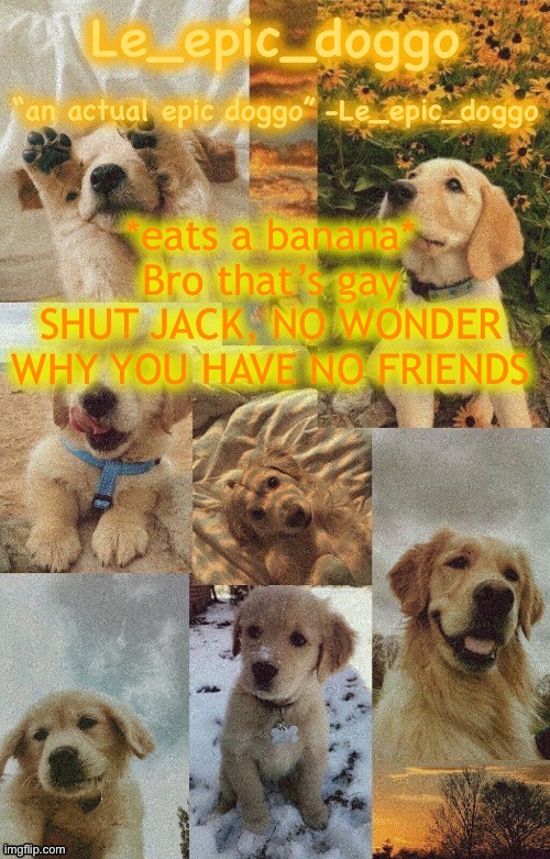 Doggo temp by doggo. Wait what that’s confusing | *eats a banana*
Bro that’s gay
SHUT JACK, NO WONDER WHY YOU HAVE NO FRIENDS | image tagged in doggo temp by doggo wait what that s confusing | made w/ Imgflip meme maker