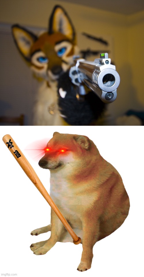 image tagged in furry with gun,cheems | made w/ Imgflip meme maker