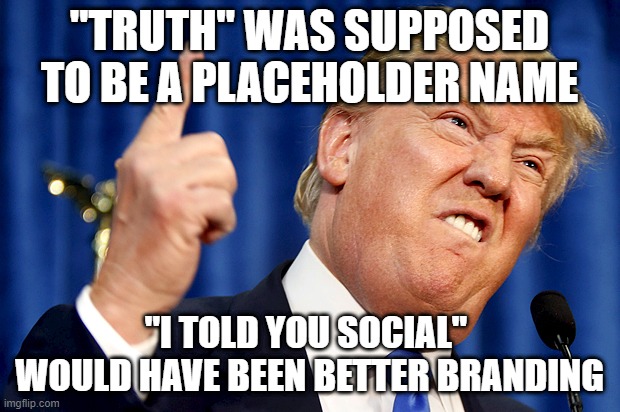 Donald Trump | "TRUTH" WAS SUPPOSED TO BE A PLACEHOLDER NAME; "I TOLD YOU SOCIAL"  WOULD HAVE BEEN BETTER BRANDING | image tagged in donald trump | made w/ Imgflip meme maker