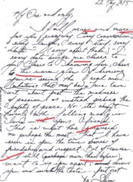 Amber heard diaries Blank Meme Template