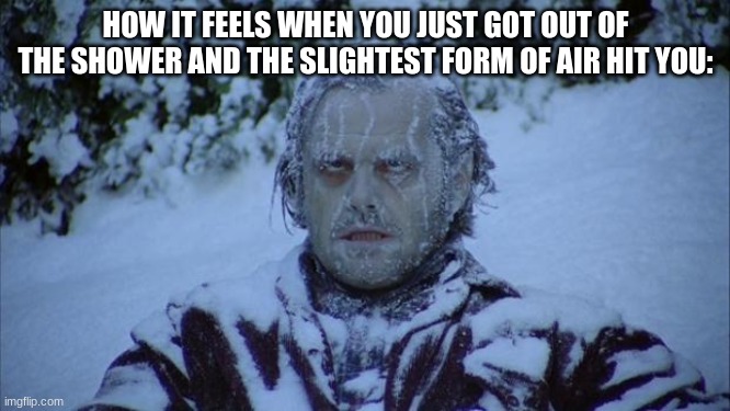 When the slightest form of air hits you after you got out of the shower | HOW IT FEELS WHEN YOU JUST GOT OUT OF THE SHOWER AND THE SLIGHTEST FORM OF AIR HIT YOU: | image tagged in cold | made w/ Imgflip meme maker