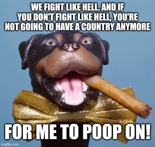 Trumph the Insurrection Comic President | WE FIGHT LIKE HELL. AND IF YOU DON'T FIGHT LIKE HELL, YOU'RE NOT GOING TO HAVE A COUNTRY ANYMORE; FOR ME TO POOP ON! | image tagged in triumph the insult comic dog,stephen colbert,tucker carlson,gop hypocrite,insurrection | made w/ Imgflip meme maker