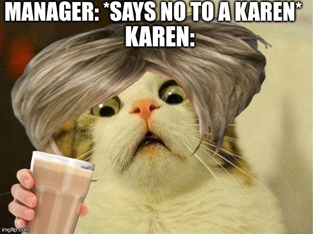 MANAGER: *SAYS NO TO A KAREN*; KAREN: | image tagged in karen | made w/ Imgflip meme maker