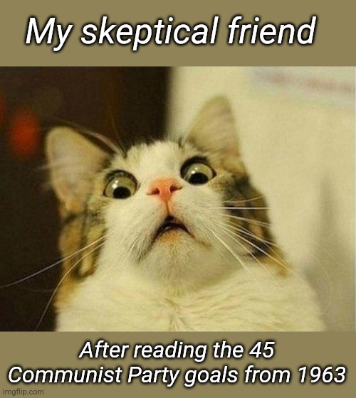 Looks like 45 out of 45 done, time for another list. | My skeptical friend; After reading the 45 Communist Party goals from 1963 | image tagged in memes,scared cat | made w/ Imgflip meme maker