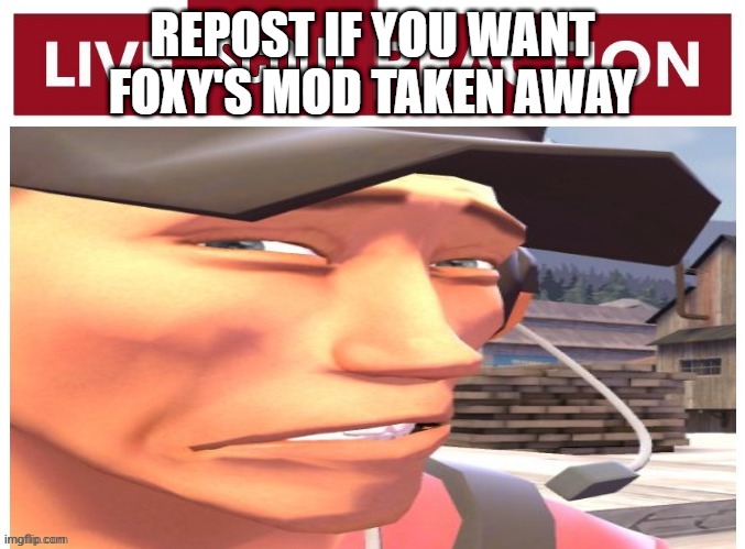 Live scout reaction | REPOST IF YOU WANT FOXY'S MOD TAKEN AWAY | image tagged in live scout reaction | made w/ Imgflip meme maker