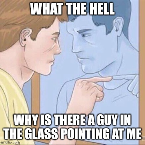 What | WHAT THE HELL; WHY IS THERE A GUY IN THE GLASS POINTING AT ME | image tagged in pointing mirror guy,antimeme | made w/ Imgflip meme maker