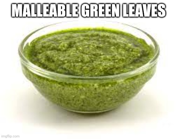 MGL | MALLEABLE GREEN LEAVES | image tagged in malleable green leaves | made w/ Imgflip meme maker