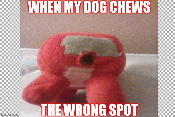 The wrong spot | WHEN MY DOG CHEWS; THE WRONG SPOT | image tagged in my meme | made w/ Imgflip meme maker