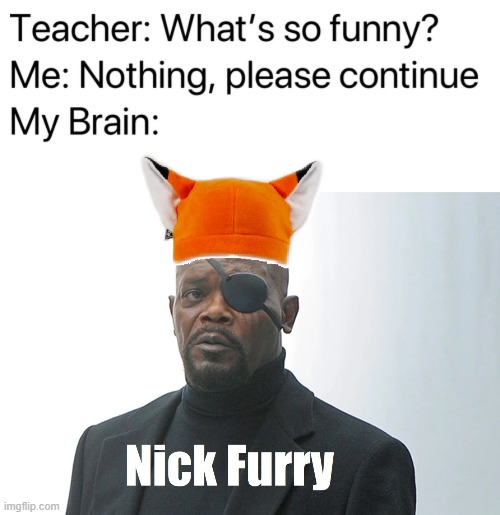 Nick Furry | image tagged in teacher what's so funny | made w/ Imgflip meme maker