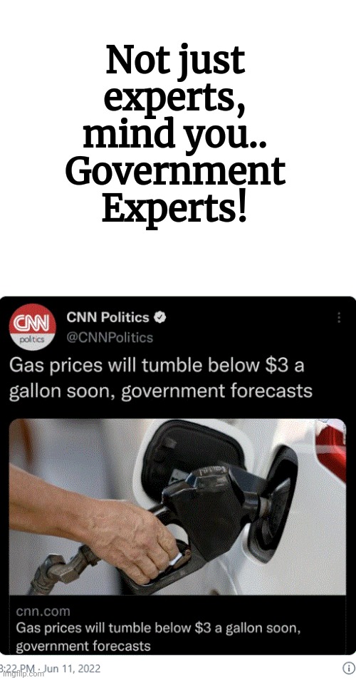 Not just experts, mind you..
Government Experts! | made w/ Imgflip meme maker