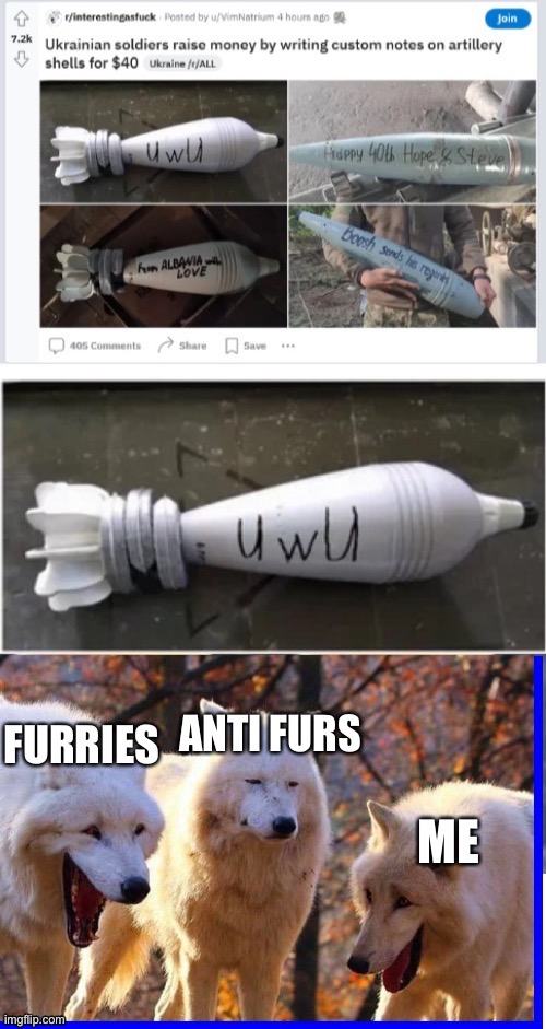 I made a anti fur meme into a furry meme | image tagged in funny | made w/ Imgflip meme maker