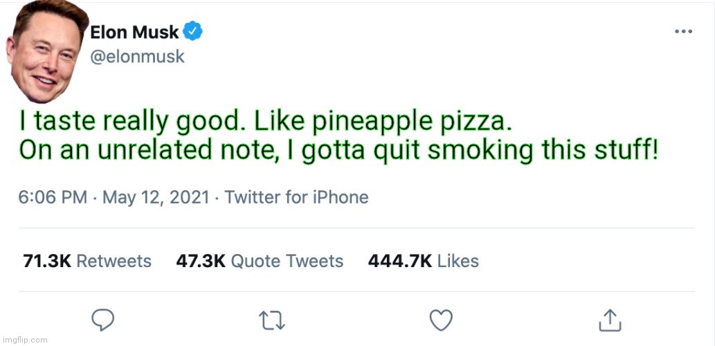 Elon Musk Blank Tweet | I taste really good. Like pineapple pizza. On an unrelated note, I gotta quit smoking this stuff! | image tagged in elon musk blank tweet | made w/ Imgflip meme maker