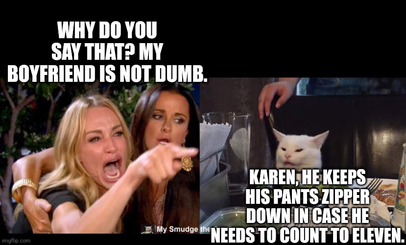 WHY DO YOU SAY THAT? MY BOYFRIEND IS NOT DUMB. KAREN, HE KEEPS HIS PANTS ZIPPER DOWN IN CASE HE NEEDS TO COUNT TO ELEVEN. | image tagged in smudge the cat | made w/ Imgflip meme maker