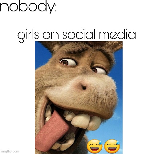 Funny donkey | image tagged in funny memes | made w/ Imgflip meme maker