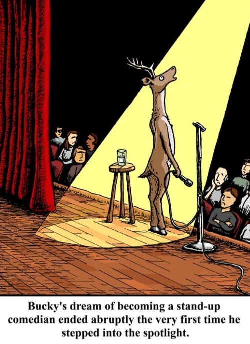 Deer in the Headlights | image tagged in funny memes,comics/cartoons | made w/ Imgflip meme maker