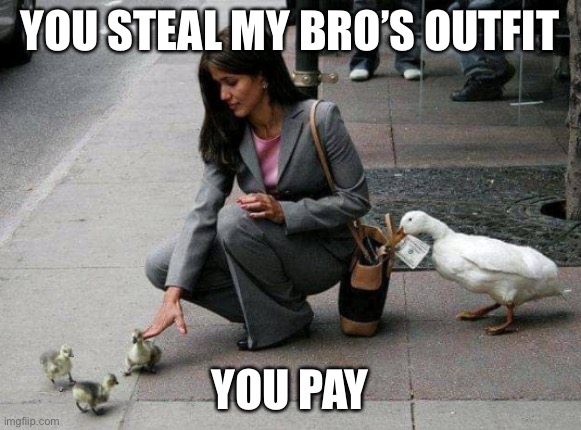 Duck stealing money | YOU STEAL MY BRO’S OUTFIT YOU PAY | image tagged in duck stealing money | made w/ Imgflip meme maker