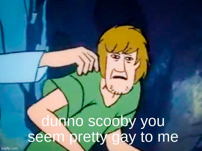 Shaggy meme | dunno scooby you seem pretty gay to me | image tagged in shaggy meme | made w/ Imgflip meme maker