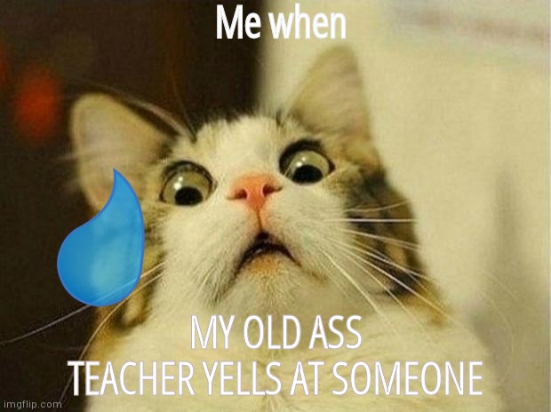 My teachers scary when she yells tho- | Me when; MY OLD ASS TEACHER YELLS AT SOMEONE | image tagged in memes,scared cat | made w/ Imgflip meme maker