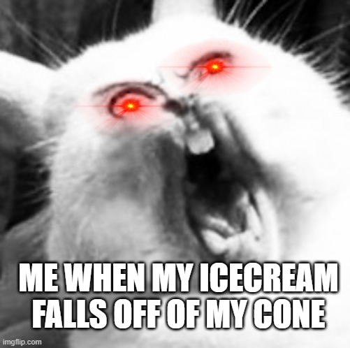 Ice cream fail |  ME WHEN MY ICECREAM FALLS OFF OF MY CONE | image tagged in ice cream,bunny | made w/ Imgflip meme maker