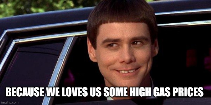 dumb and dumber | BECAUSE WE LOVES US SOME HIGH GAS PRICES | image tagged in dumb and dumber | made w/ Imgflip meme maker