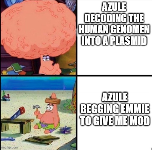 :/ | AZULE DECODING THE HUMAN GENOMEN INTO A PLASMID; AZULE BEGGING EMMIE TO GIVE ME MOD | image tagged in patrick big brain | made w/ Imgflip meme maker