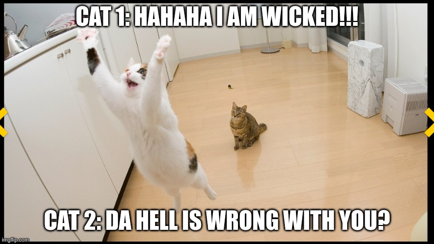 HAHA | CAT 1: HAHAHA I AM WICKED!!! CAT 2: DA HELL IS WRONG WITH YOU? | image tagged in grumpy cat | made w/ Imgflip meme maker