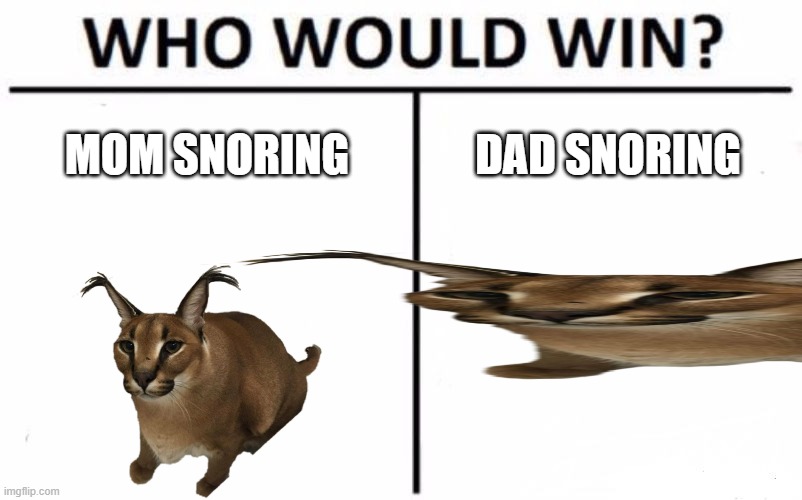 so dang true | MOM SNORING; DAD SNORING | image tagged in memes,who would win | made w/ Imgflip meme maker