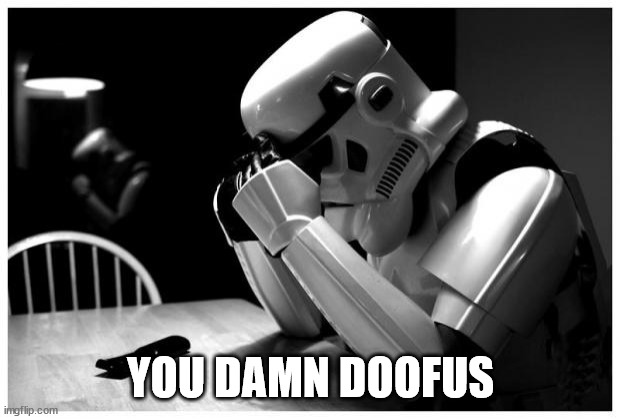 Sad Storm Trooper | YOU DAMN DOOFUS | image tagged in sad storm trooper | made w/ Imgflip meme maker