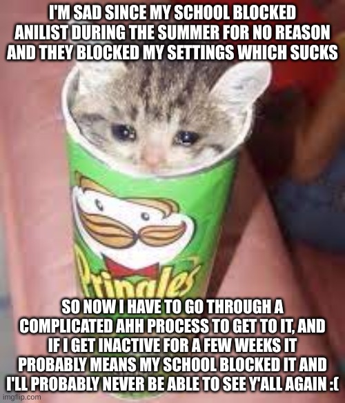 I CANT EVEN UPDATE MY FUCKING PFP TJERE ANYMORE NOOO | I'M SAD SINCE MY SCHOOL BLOCKED ANILIST DURING THE SUMMER FOR NO REASON
AND THEY BLOCKED MY SETTINGS WHICH SUCKS; SO NOW I HAVE TO GO THROUGH A COMPLICATED AHH PROCESS TO GET TO IT, AND IF I GET INACTIVE FOR A FEW WEEKS IT PROBABLY MEANS MY SCHOOL BLOCKED IT AND I'LL PROBABLY NEVER BE ABLE TO SEE Y'ALL AGAIN :( | image tagged in pringle cat | made w/ Imgflip meme maker