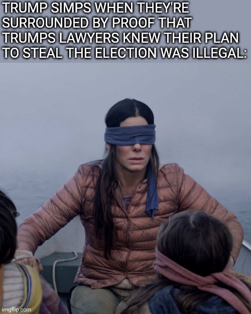 Shame that none are man enough to admit when they've been conned | TRUMP SIMPS WHEN THEY'RE SURROUNDED BY PROOF THAT TRUMPS LAWYERS KNEW THEIR PLAN TO STEAL THE ELECTION WAS ILLEGAL: | image tagged in memes,bird box,scumbag republicans,terrorism,terrorists | made w/ Imgflip meme maker