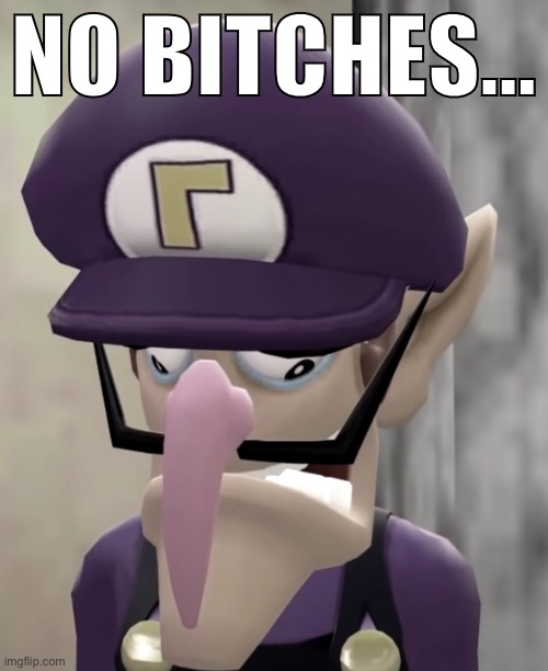 Sad Waluigi | NO BITCHES… | image tagged in sad waluigi | made w/ Imgflip meme maker