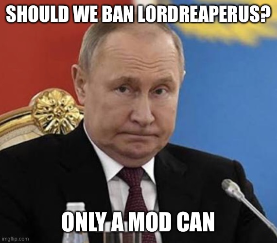 I’m not a mod so, | SHOULD WE BAN LORDREAPERUS? ONLY A MOD CAN | image tagged in straight face putin | made w/ Imgflip meme maker